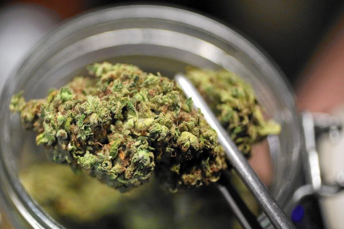 Marijuana buds in a glass jar
