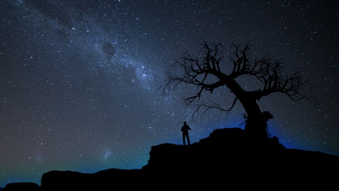 Silhouette of Person and Tree Under Milky Way Sky