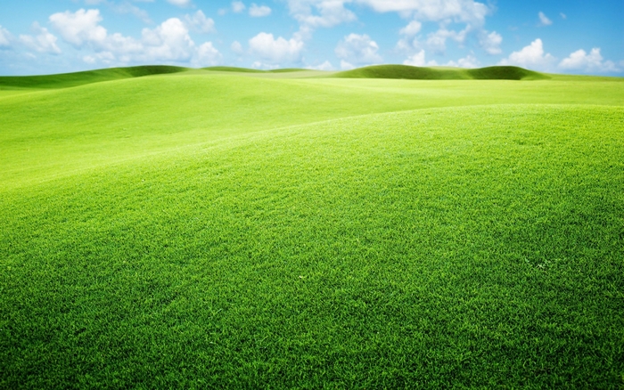 Rolling green hills under a blue sky