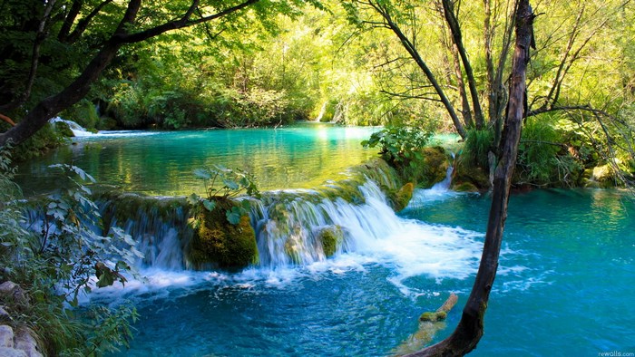 Turquoise waterfall in a lush green forest