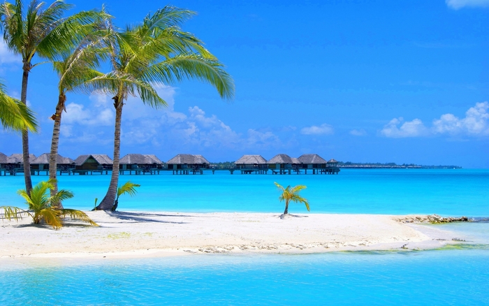 Tropical beach with overwater bungalows
