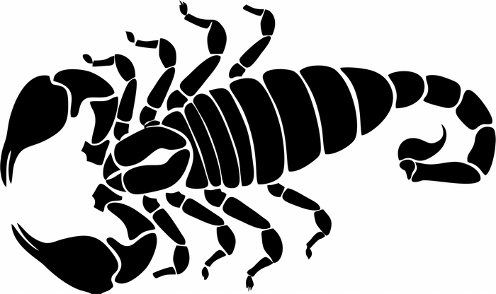 Black Scorpion Silhouette
