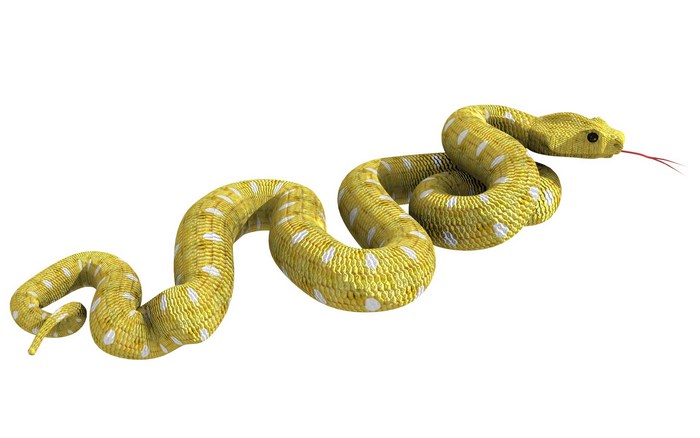 Yellow snake with white spots