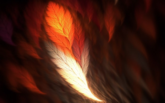 Phoenix feathers abstract fractal art