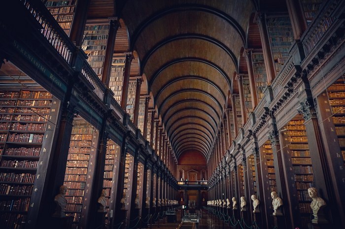 The Long Room Library with Bookshelves and Busts