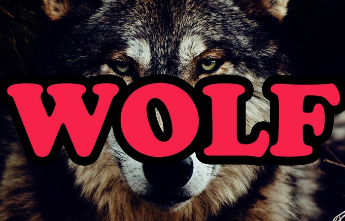 Wolf with red text