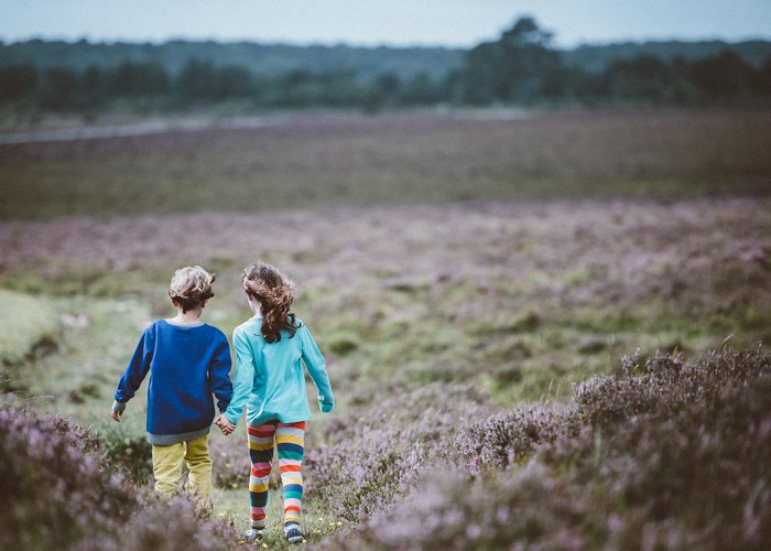Children walking hand-in-hand through a heather field