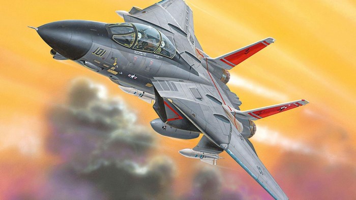 Grumman F-14 Tomcat fighter jet in flight