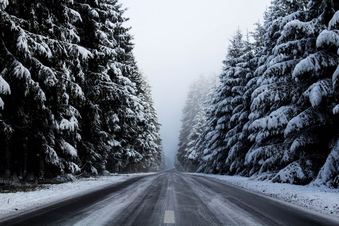 Snowy road through a forest in Belgium
