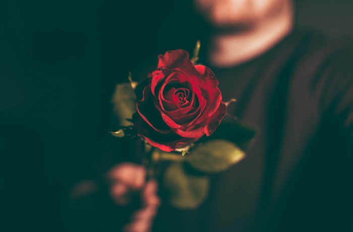 Man Holding a Single Red Rose with Bokeh