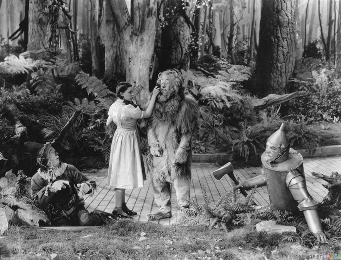 Dorothy and Friends from The Wizard of Oz