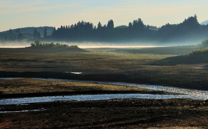 Misty river valley with trees and hills