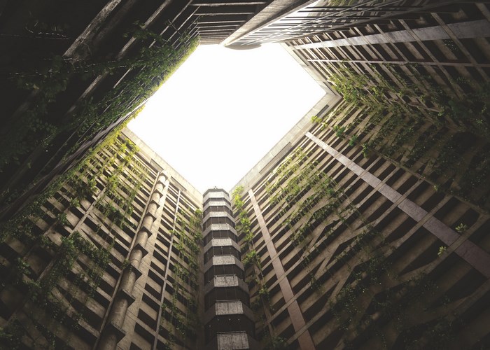 Overgrown abandoned building with vines and sky