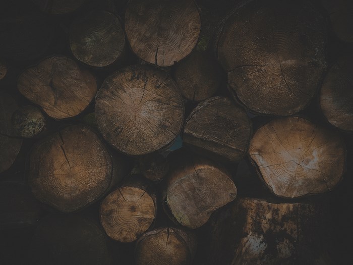 Pile of stacked logs with visible tree rings