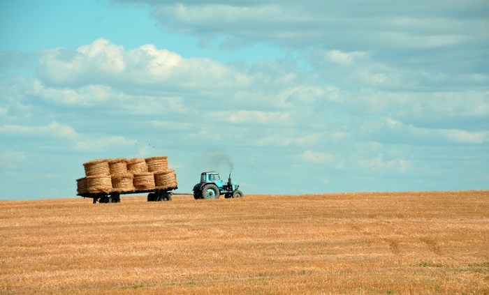 Tractor pulling a trailer full of hay bales in a field