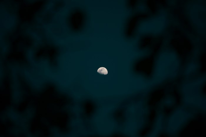 Half moon in dark night sky