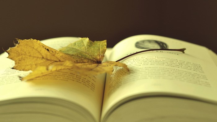 Open book with yellow leaf