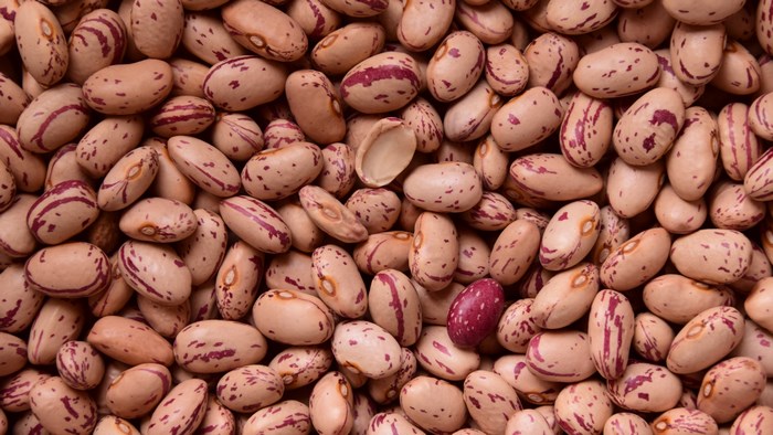 Pinto Beans Close-up