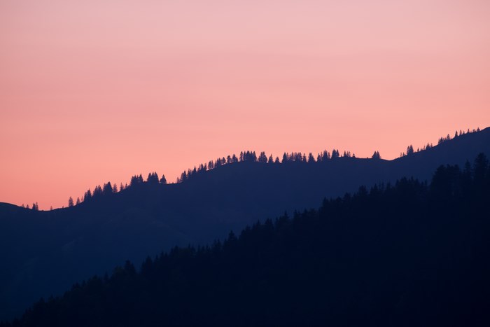 Silhouette of trees on hills at sunrise or sunset