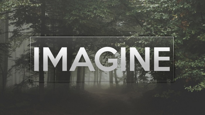 Imagine text over forest path