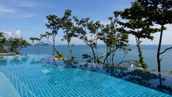 Infinity pool overlooking the ocean with ships and trees