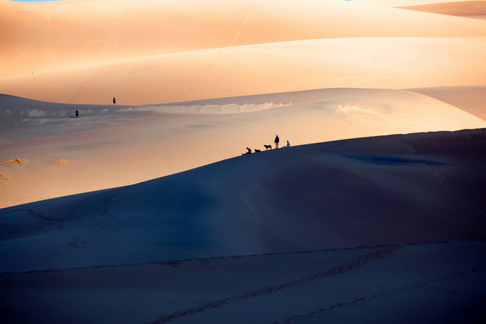 People and dogs on sand dunes at sunset