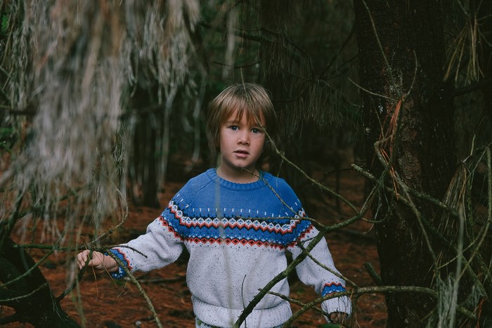 Boy in a blue and white sweater in a forest
