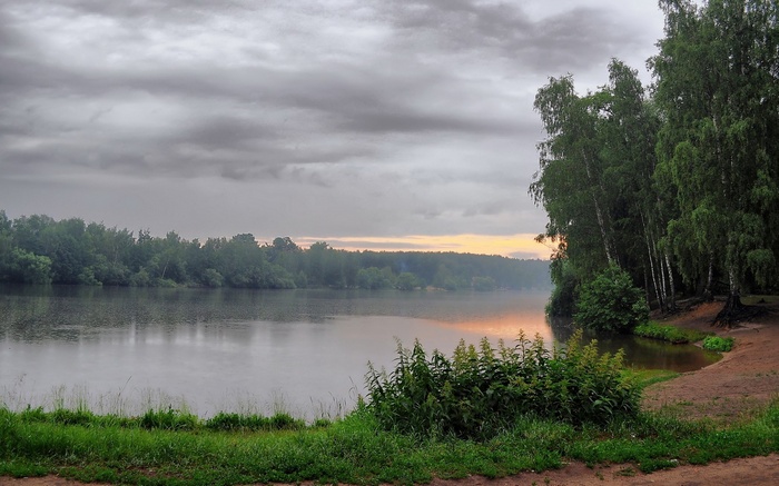 Lake and forest under cloudy sky