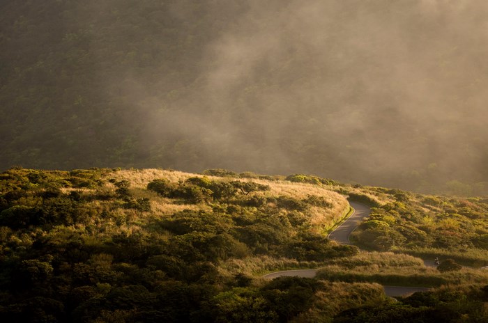 Winding road through misty, sunlit hills with trees and grass