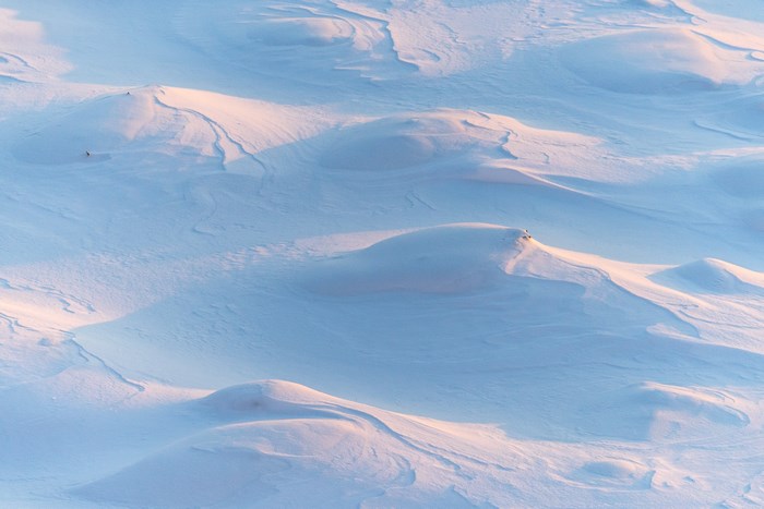 Pastel Snowdrifts Under a Quiet Winter Sunset