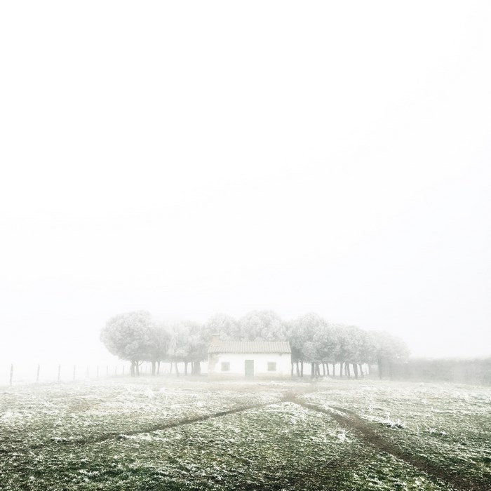 A foggy winter landscape with a small house and trees