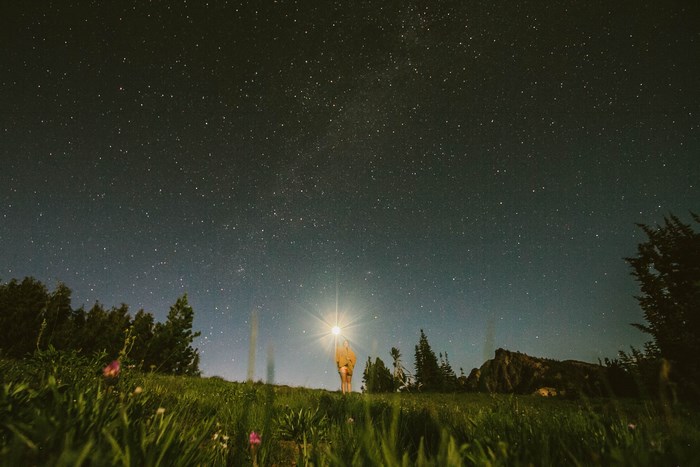 Woman holding a flashlight under the stars