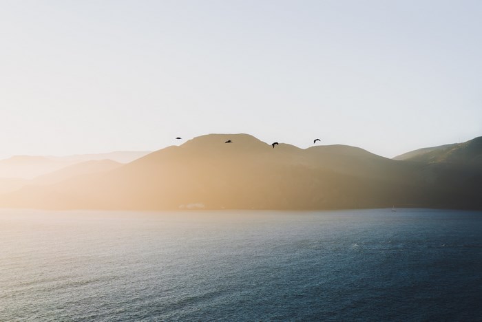 Birds flying over mountains and the Pacific Ocean at sunset