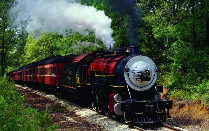 Vintage steam locomotive traveling through a forest