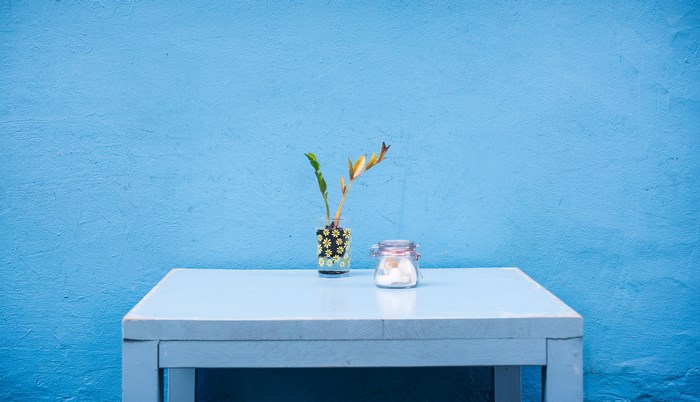 Minimalist table with plants against a blue wall