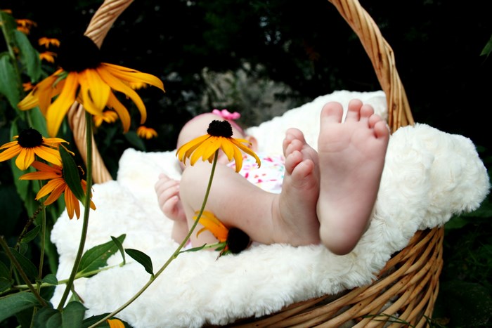 Baby's feet in a basket with black-eyed susans