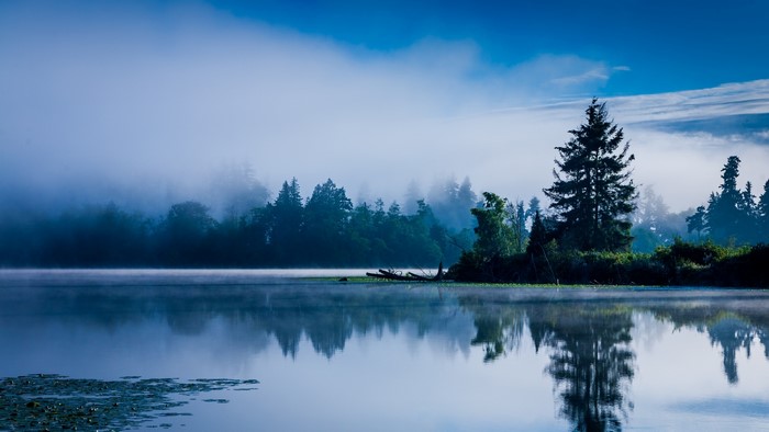 Misty lake with forest reflection at sunrise