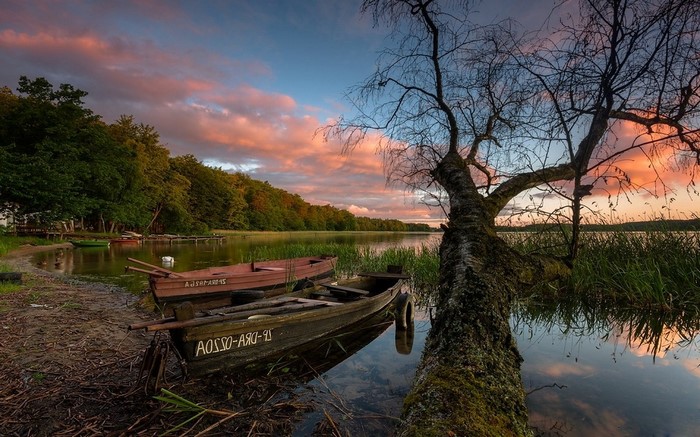 Boats on a lake at sunset with a fallen tree