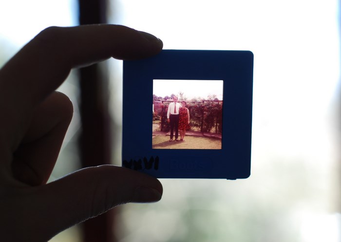 A hand holds a vintage slide with a couple in a garden