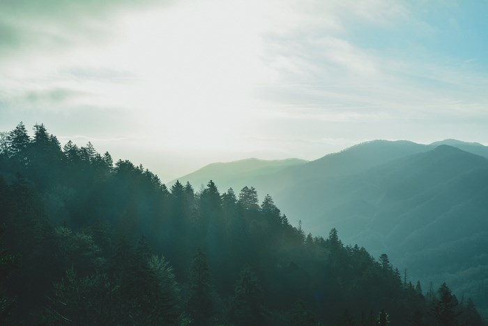 Smoky Mountain ridge with pine trees and haze
