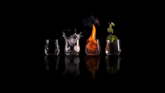 Four elements in glasses: empty, water, fire, plant