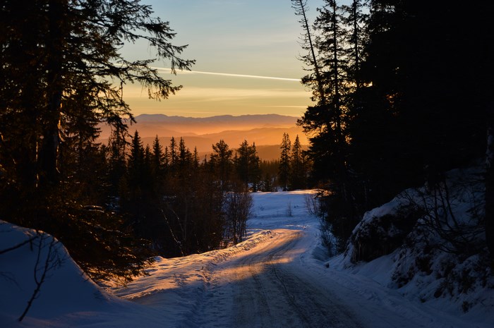 Snowy road through a forest at sunset in Norway