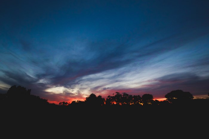 Silhouette of trees against a dramatic sunset sky