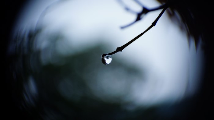 A single water drop on a bare twig with bokeh background