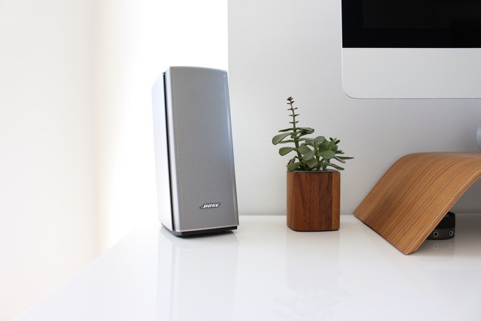 Bose speaker on a white desk with a plant