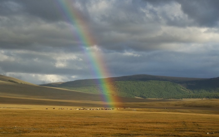 Rainbow over a vast grassland with a herd of animals