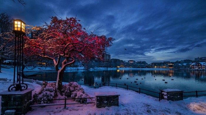 Winter evening by a lake in Norway with snow and lights