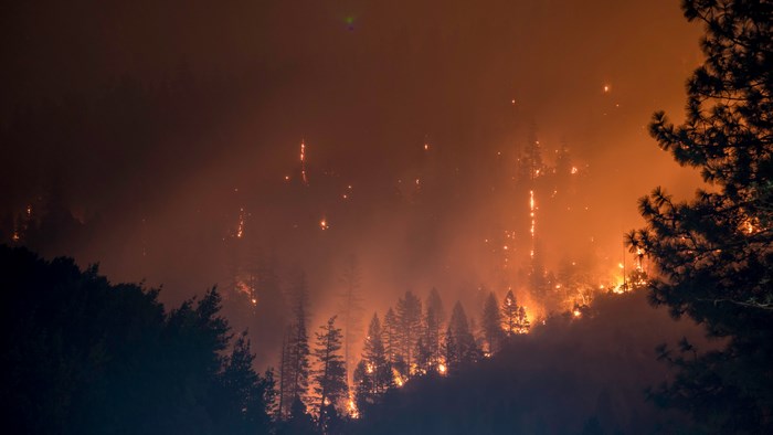 Forest fire at night with smoke and flames