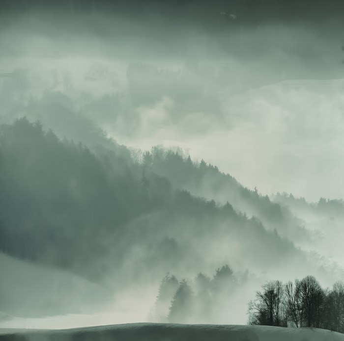 Misty forest landscape with rolling hills
