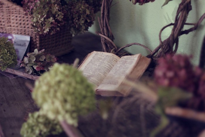 Open book with dried flowers and basket